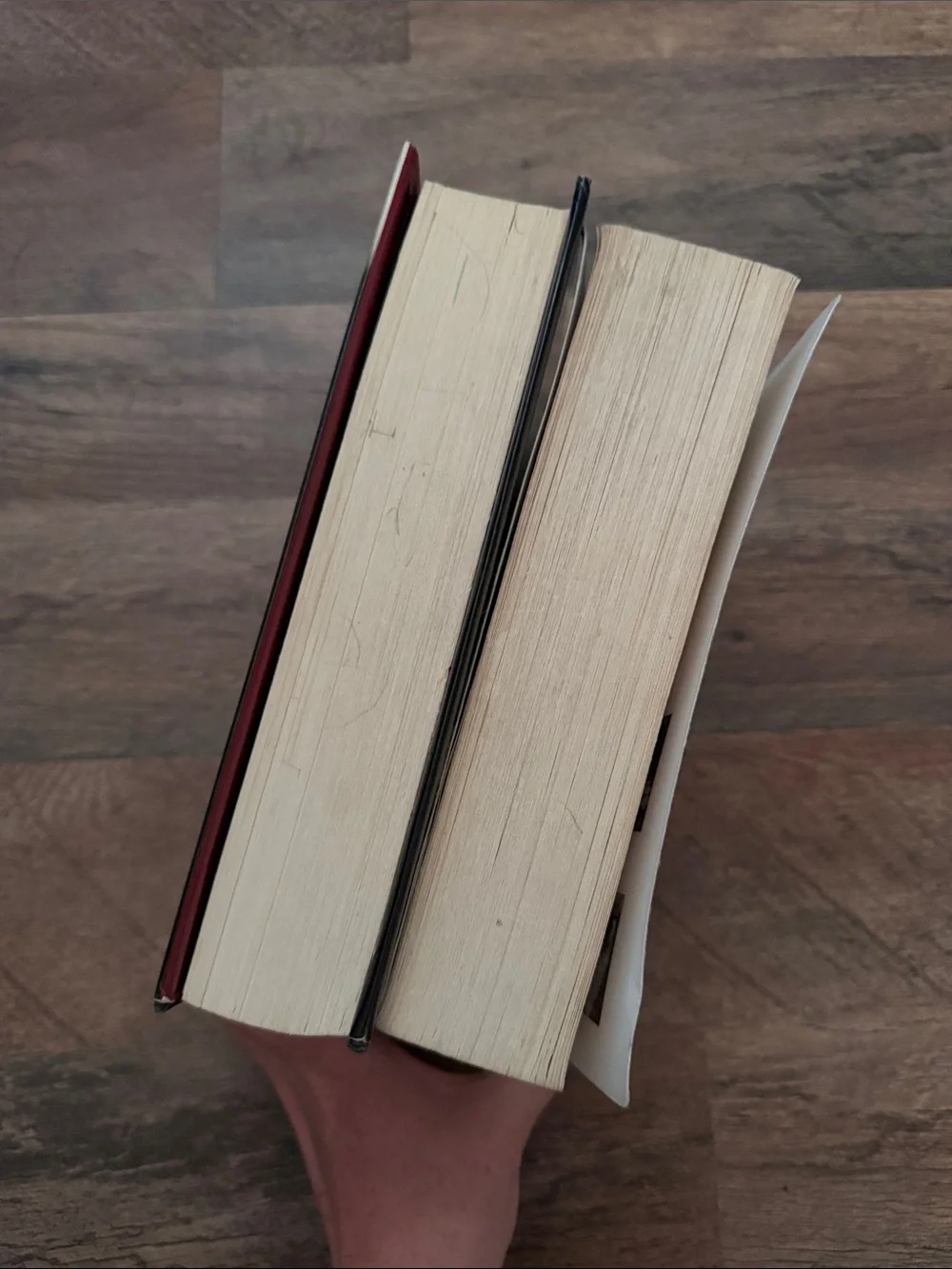 Twilight (Hard Cover) & New Moon (Soft Cover) by Stephanie Meyer Book Bundle